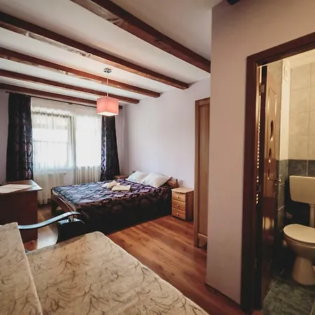 Pensiunea Cosau 3* Ocna Şugatag